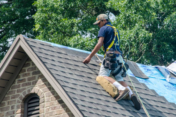 Professional Roofing Contractor in Round Lake Heights, IL